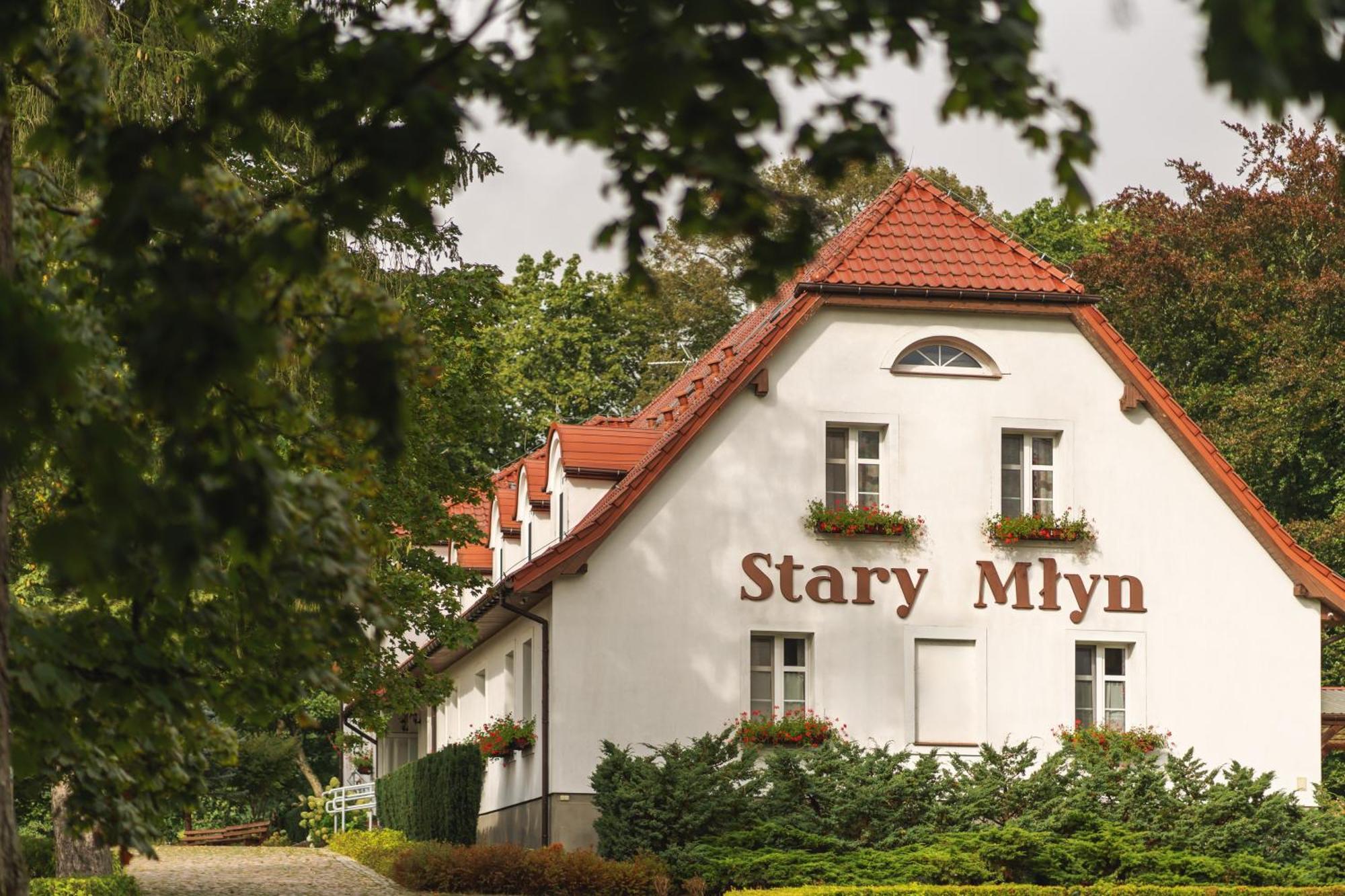 מלון Lubowo  Stary Mlyn Strzeszyn מראה חיצוני תמונה